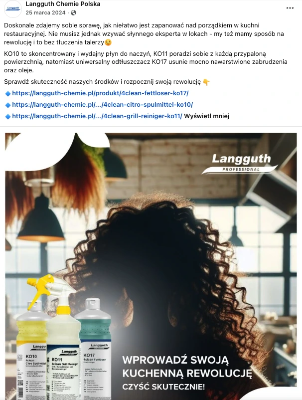 Post Langguth Chemie o środkach do kuchni